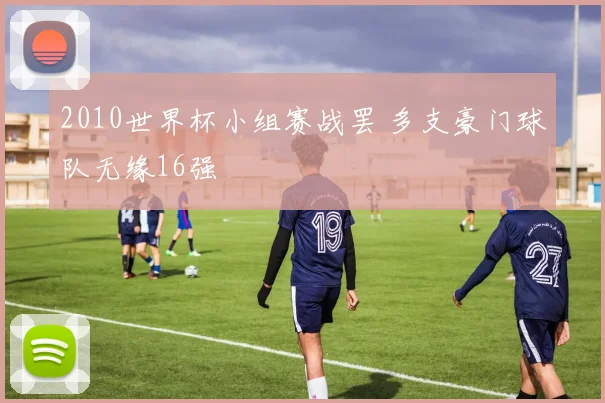 2010世界杯小组赛战罢 多支豪门球队无缘16强
